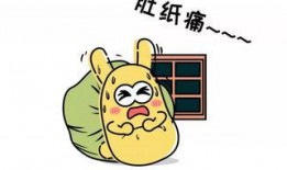 吃瓜群众的快乐,吃瓜群众的快乐盛宴