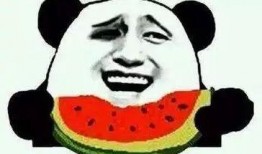 娱乐吃瓜蜀黍广告语怎么写