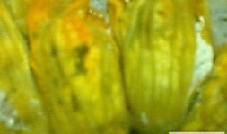 娱乐吃瓜花,吃瓜花背后的故事