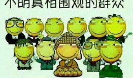 娱乐吃瓜蜀黍广告语怎么写