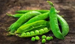 娱乐豆吃瓜,揭秘娱乐圈那些不为人知的幕后故事