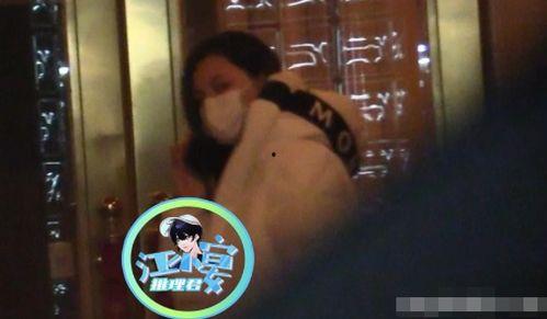 娱乐吃瓜汪小菲是谁呀,从豪门公子到网红明星