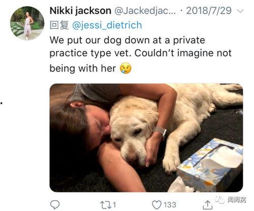 宠物安乐死娱乐吃瓜酱,娱乐吃瓜酱带你揭秘背后真相