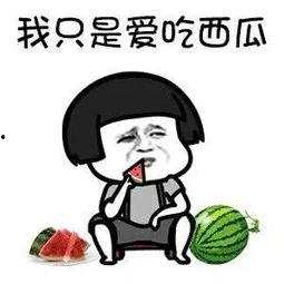 吃瓜娱乐群,揭秘娱乐圈背后的故事与八卦