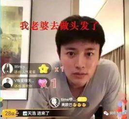 娱乐圈吃瓜电视剧有哪些,揭秘那些令人捧腹的吃瓜电视剧