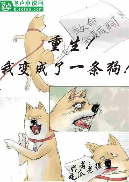 吃瓜人小说合集,揭秘各路奇闻异事，畅游虚拟世界